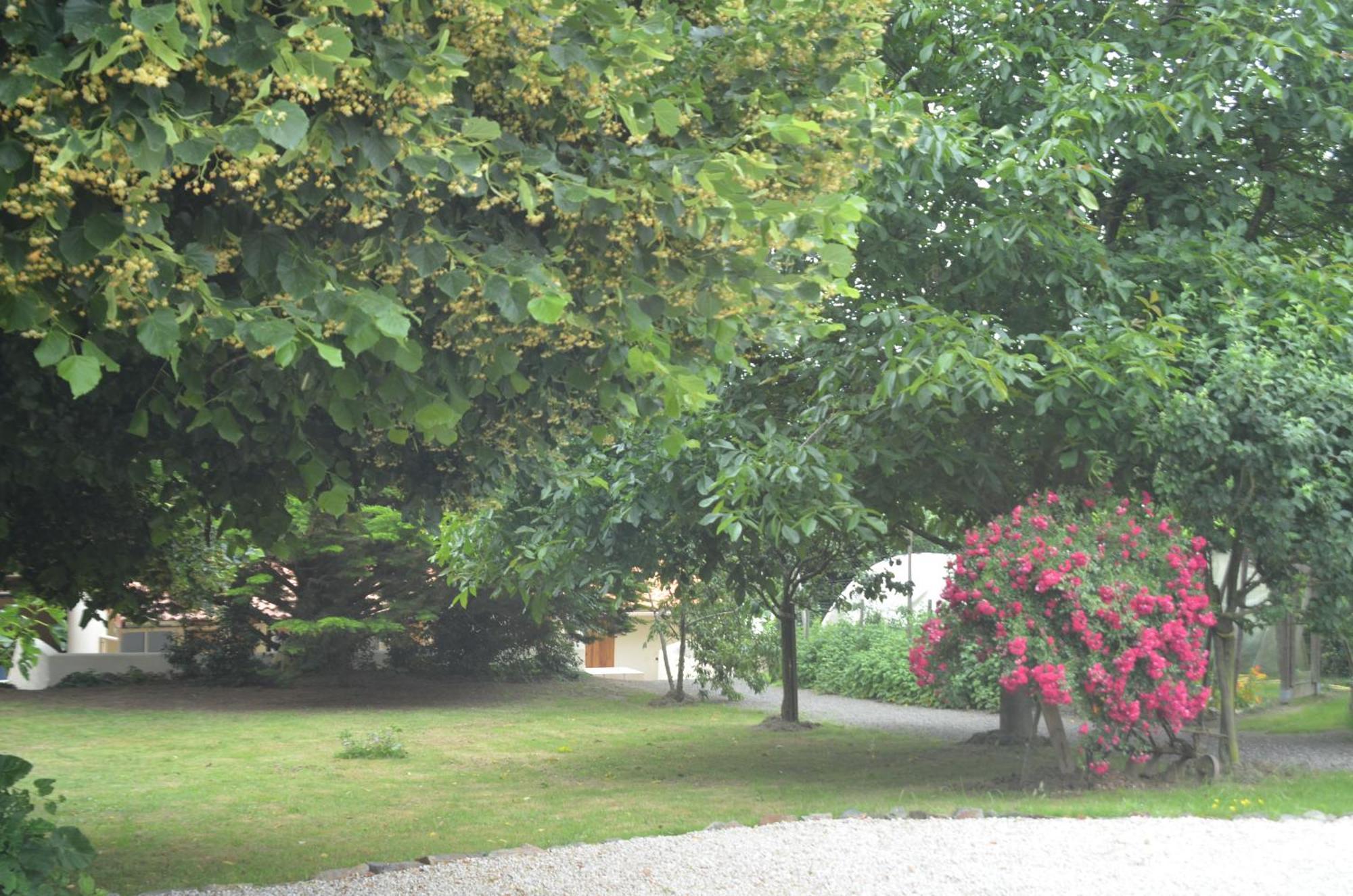 Chambres D'Hotes La Forterie Vairé Kültér fotó